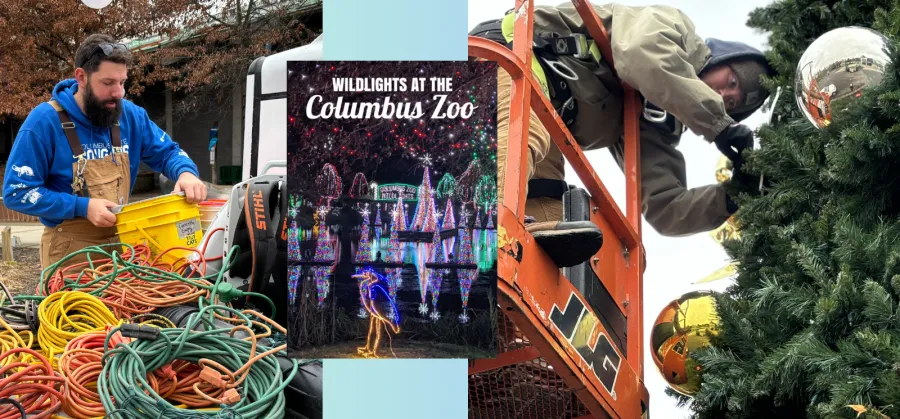 columbus.png