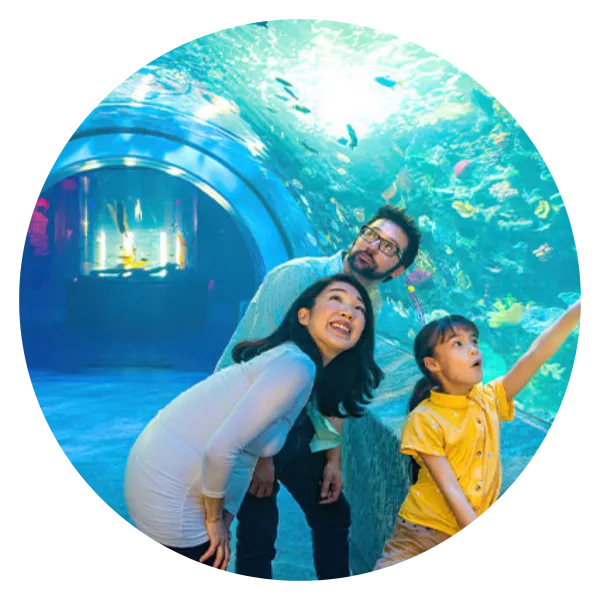 Photo of Newport Aquarium tunnel with a man, woman and child looking at fishes and pointing